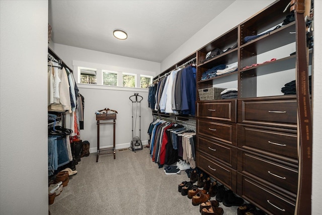 walk in closet with light carpet