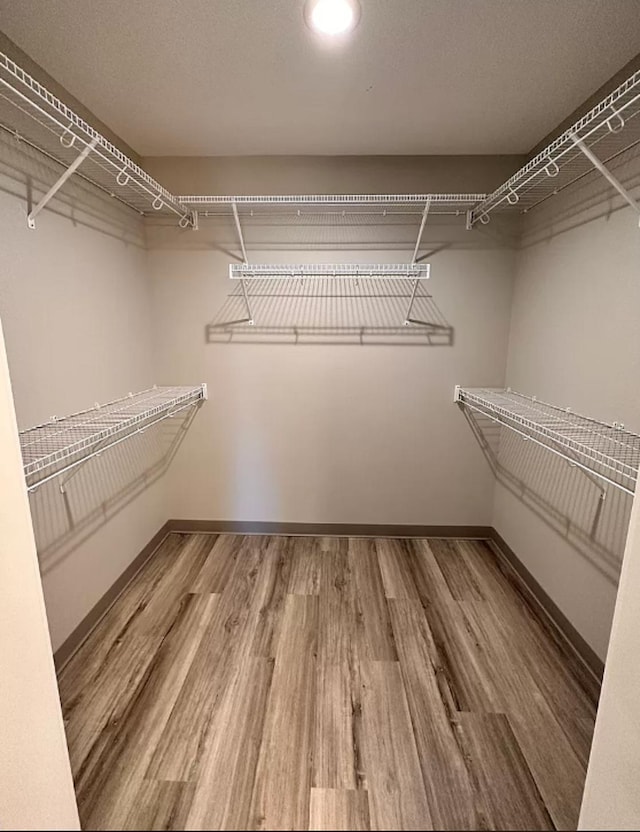 walk in closet featuring hardwood / wood-style floors