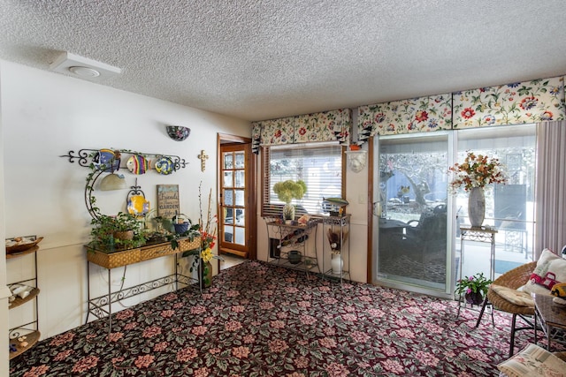 interior space with a textured ceiling and carpet floors