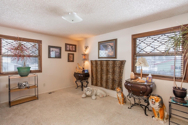 living area with carpet and a textured ceiling