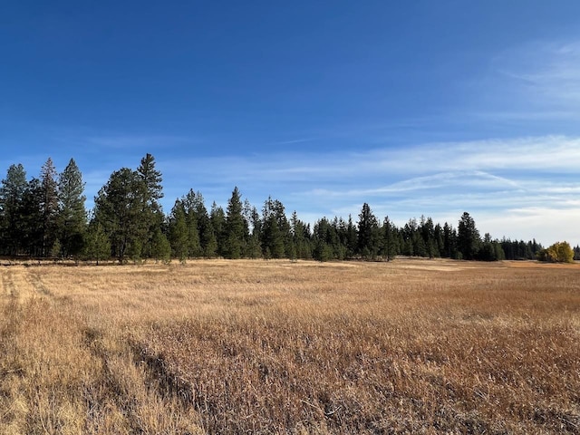 17305 S Blasted Ln, Cheney WA, 99004 land for sale