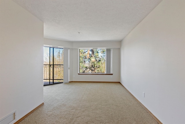 empty room with carpet and a textured ceiling