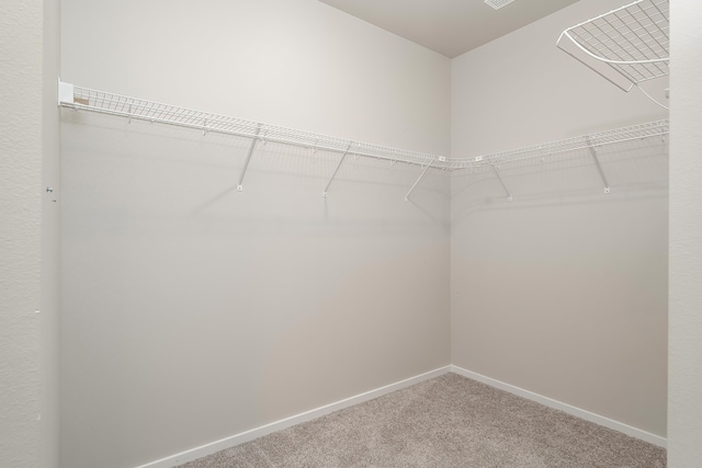 walk in closet with carpet flooring