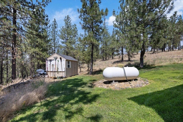 view of yard with a storage unit