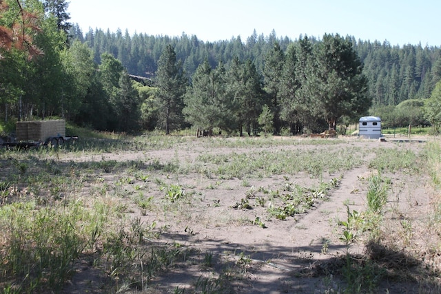 view of yard featuring a rural view