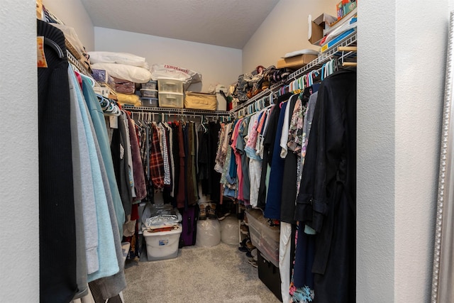 spacious closet featuring carpet