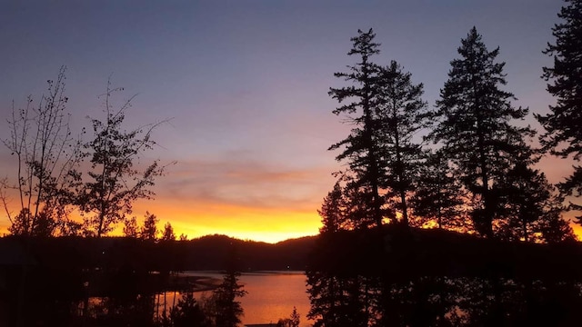 12507 N Cherokee Dr, Newman Lake, WA 99025 - water view