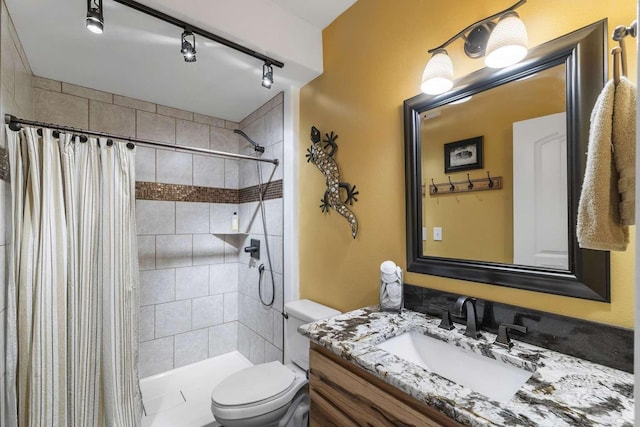 12507 N Cherokee Dr, Newman Lake, WA 99025 - bathroom featuring toilet, tiled shower, vanity, and rail lighting