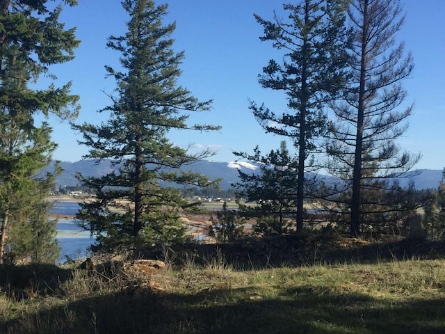 12507 N Cherokee Dr, Newman Lake, WA 99025 - mountain view