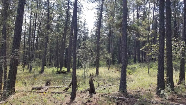 LOT355XX Rocky Top Way, Deer Park WA, 99006 land for sale