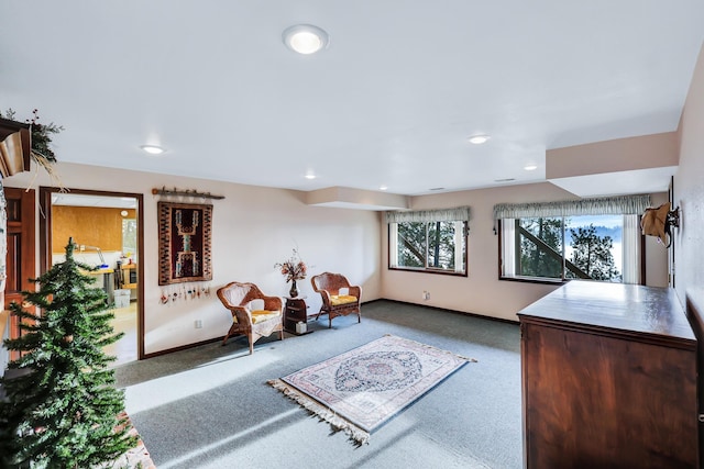 sitting room with carpet floors