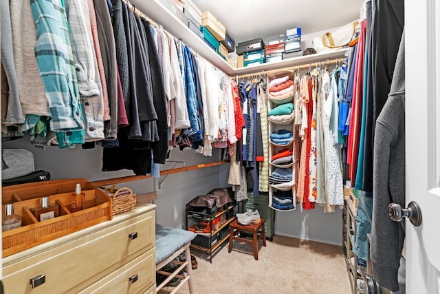 walk in closet featuring light colored carpet