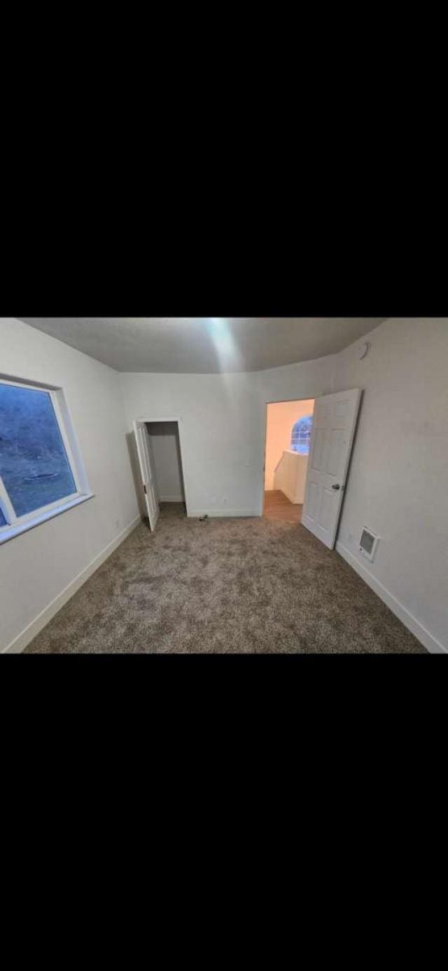 spare room featuring carpet floors