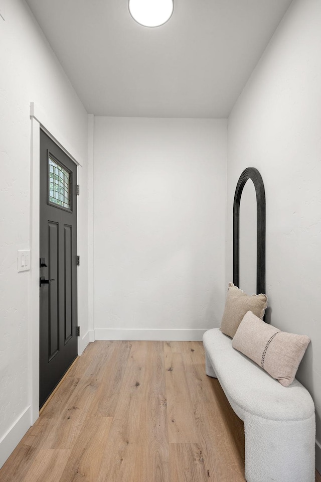 entrance foyer featuring light hardwood / wood-style flooring