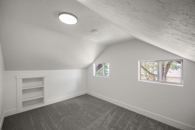 bonus room with built in features, carpet floors, a textured ceiling, and vaulted ceiling