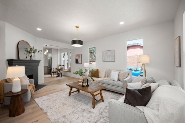 living room with light hardwood / wood-style floors