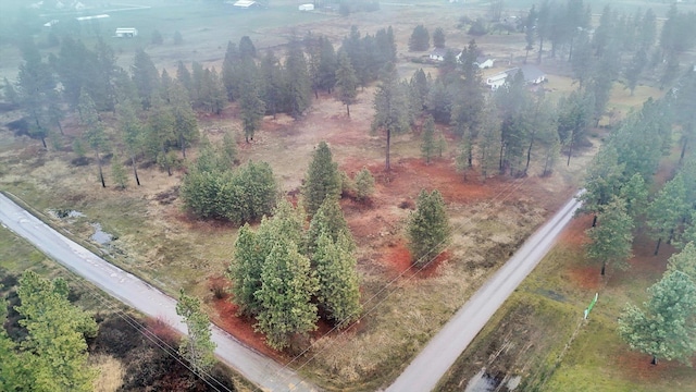 bird's eye view featuring a rural view