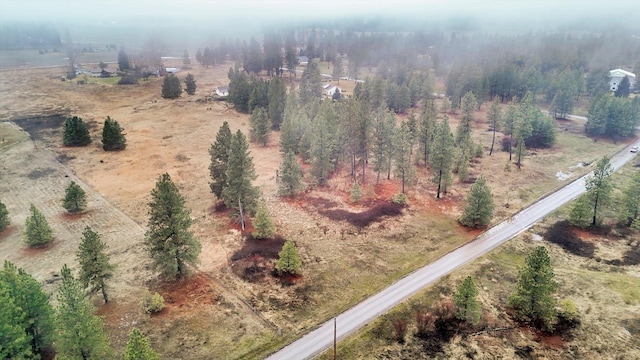 bird's eye view featuring a rural view