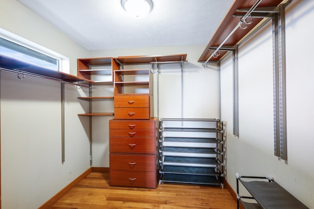 spacious closet with light hardwood / wood-style flooring