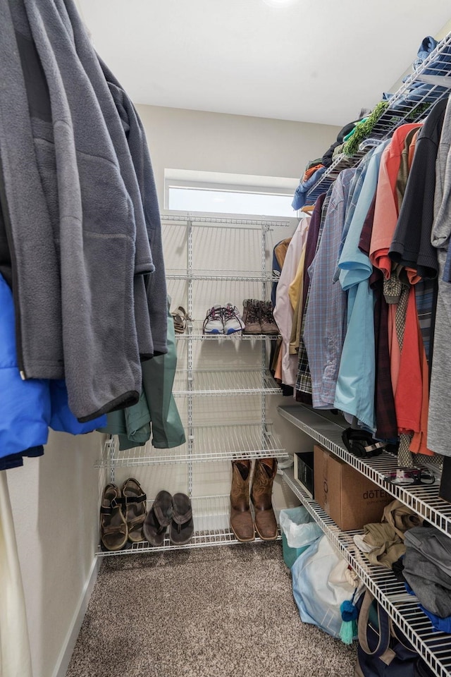 walk in closet with carpet