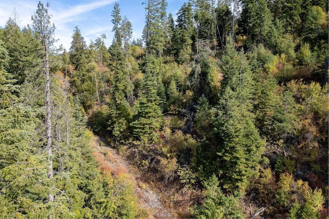3401 Red Marble Rd, Chewelah, WA 99109