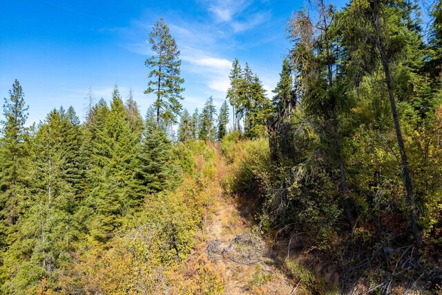 3401 Red Marble Rd, Chewelah, WA 99109