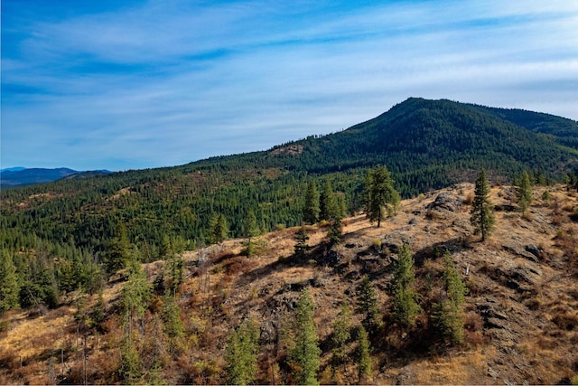 3401 Red Marble Rd, Chewelah, WA 99109