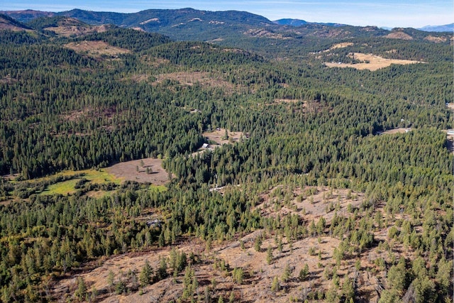 3401 Red Marble Rd, Chewelah, WA 99109