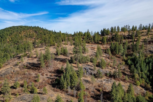 3401 Red Marble Rd, Chewelah, WA 99109