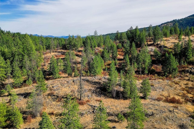 3401 Red Marble Rd, Chewelah, WA 99109