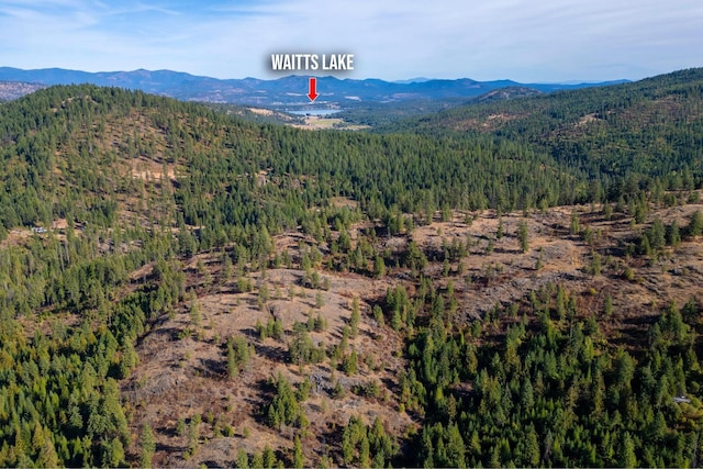 3401 Red Marble Rd, Chewelah, WA 99109