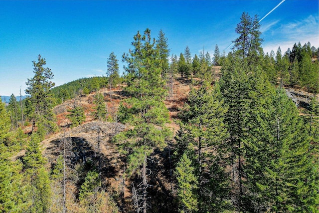 3401 Red Marble Rd, Chewelah, WA 99109
