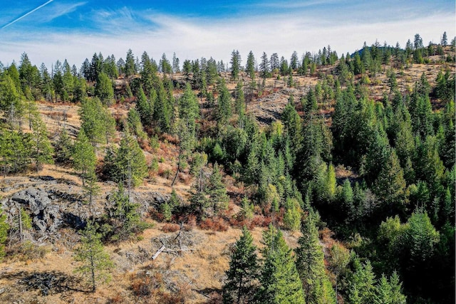 3401 Red Marble Rd, Chewelah, WA 99109