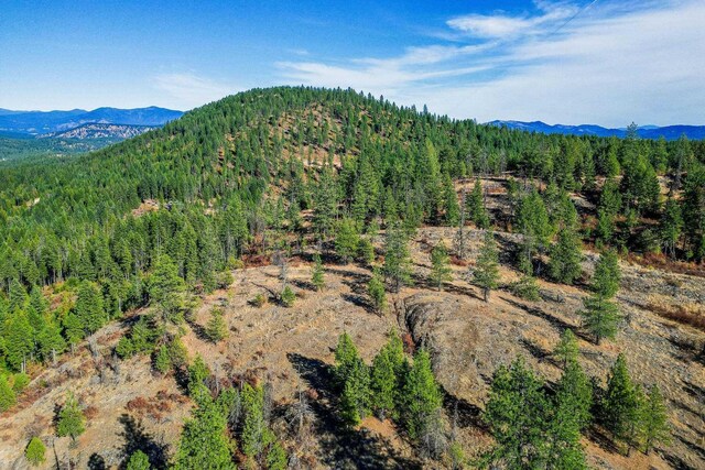 3401 Red Marble Rd, Chewelah, WA 99109