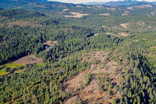 3401 Red Marble Rd, Chewelah, WA 99109