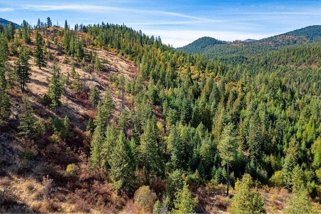 3401 Red Marble Rd, Chewelah, WA 99109
