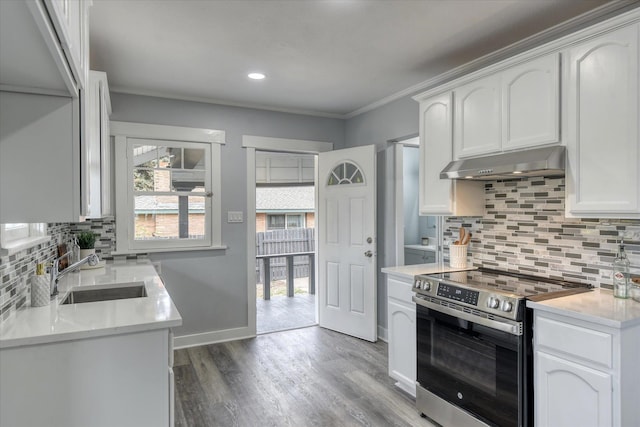 kitchen with white cabinetry, crown molding, sink, and electric range