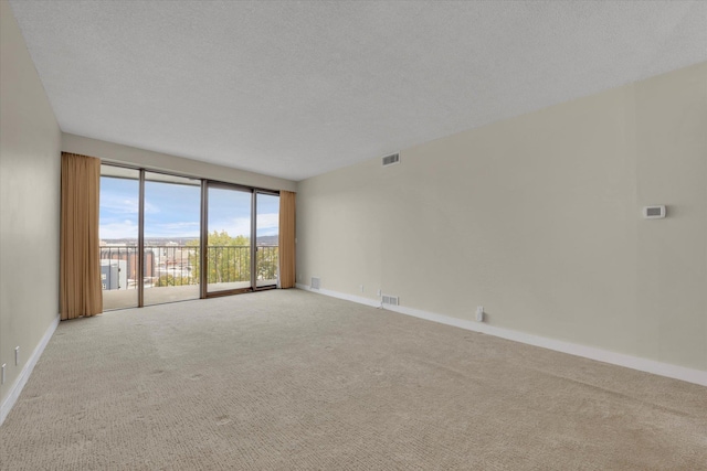 empty room featuring carpet flooring and a textured ceiling