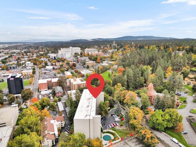 bird's eye view featuring a mountain view