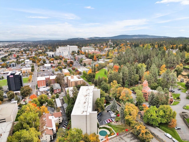 birds eye view of property featuring a mountain view