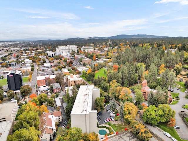 700 W 7th Ave Unit # 601, Spokane, WA 99204 - photo 30