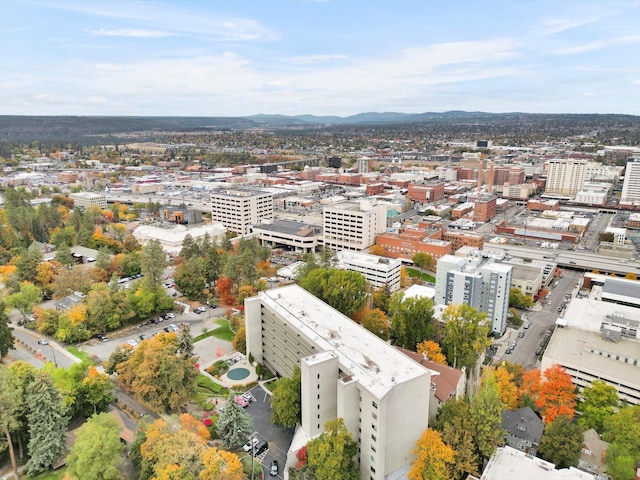 700 W 7th Ave Unit # 601, Spokane, WA 99204 - view of urban area with mountains