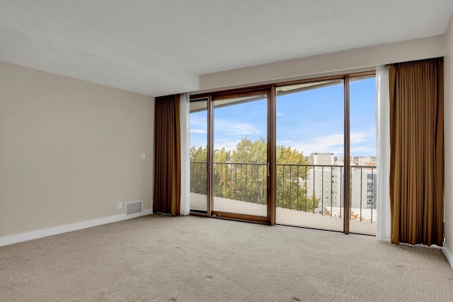 carpeted empty room with a healthy amount of sunlight