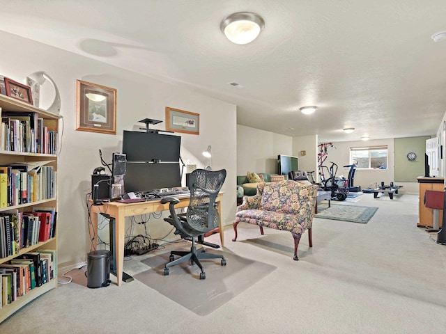 carpeted office space with a textured ceiling