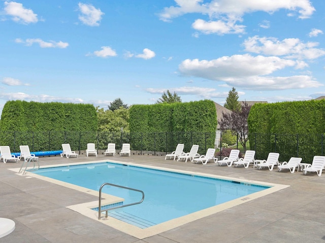 view of swimming pool with a patio area