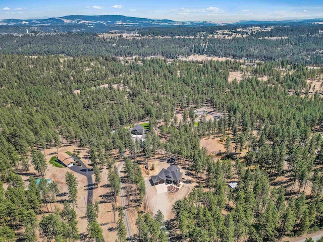 drone / aerial view featuring a mountain view