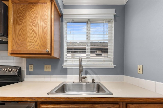 kitchen with backsplash, dishwasher, electric stove, and sink