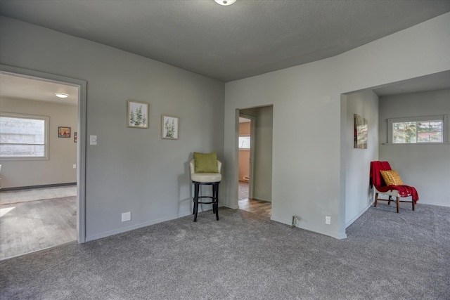 empty room with carpet, a textured ceiling, and a wealth of natural light