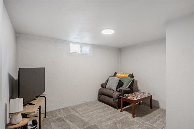 sitting room featuring carpet flooring