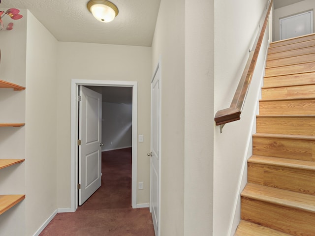 stairs featuring carpet